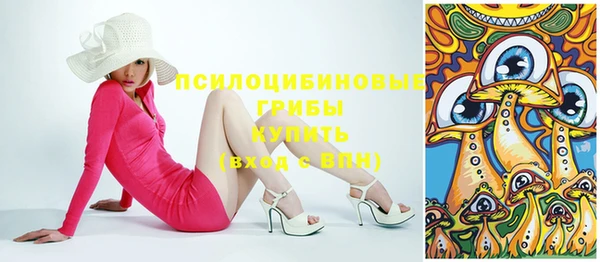 дмт Горнозаводск