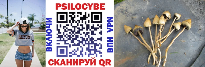 Галлюциногенные грибы Psilocybe  Любим 